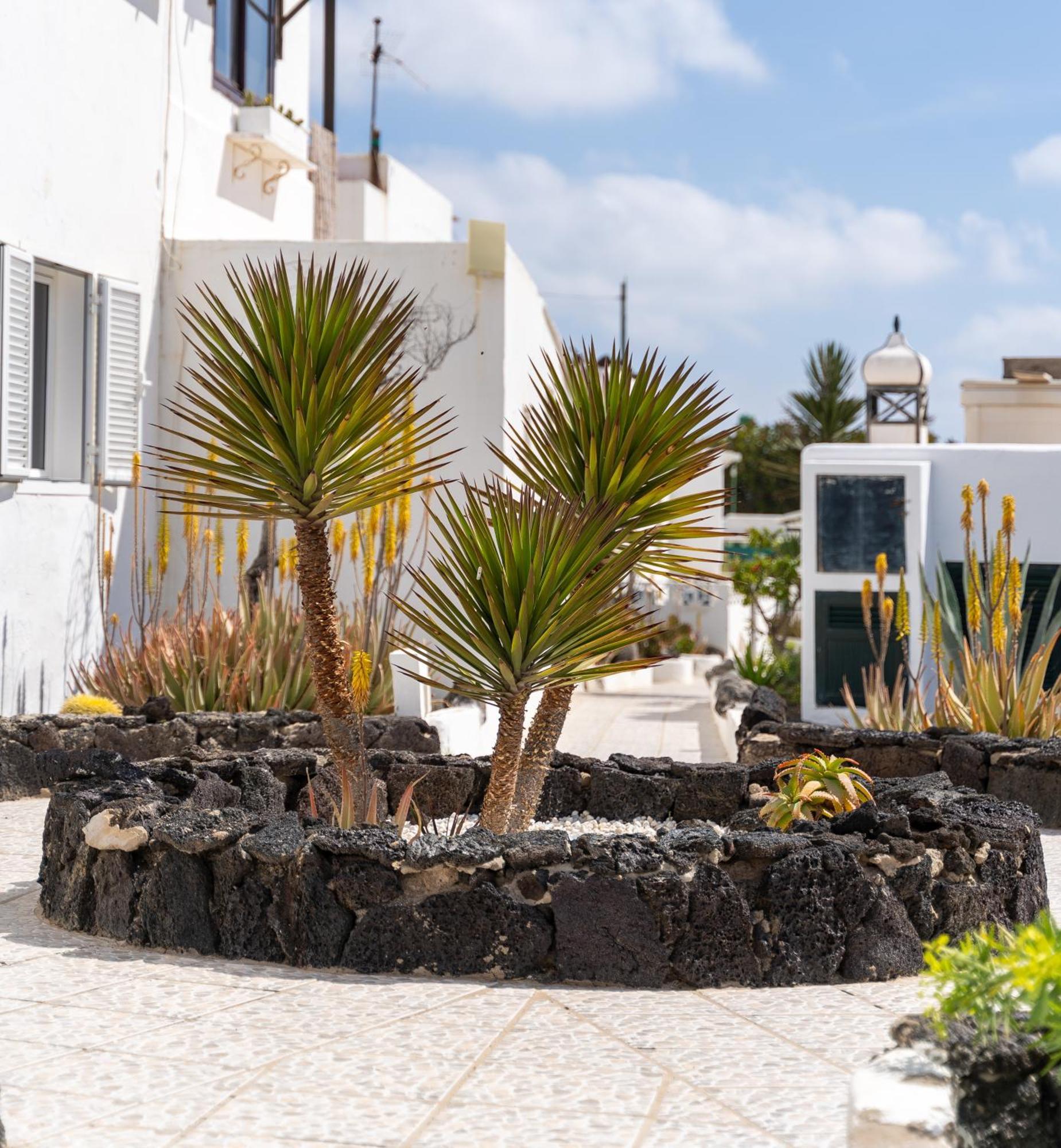 Casa Salinas Del Mar Appartement *